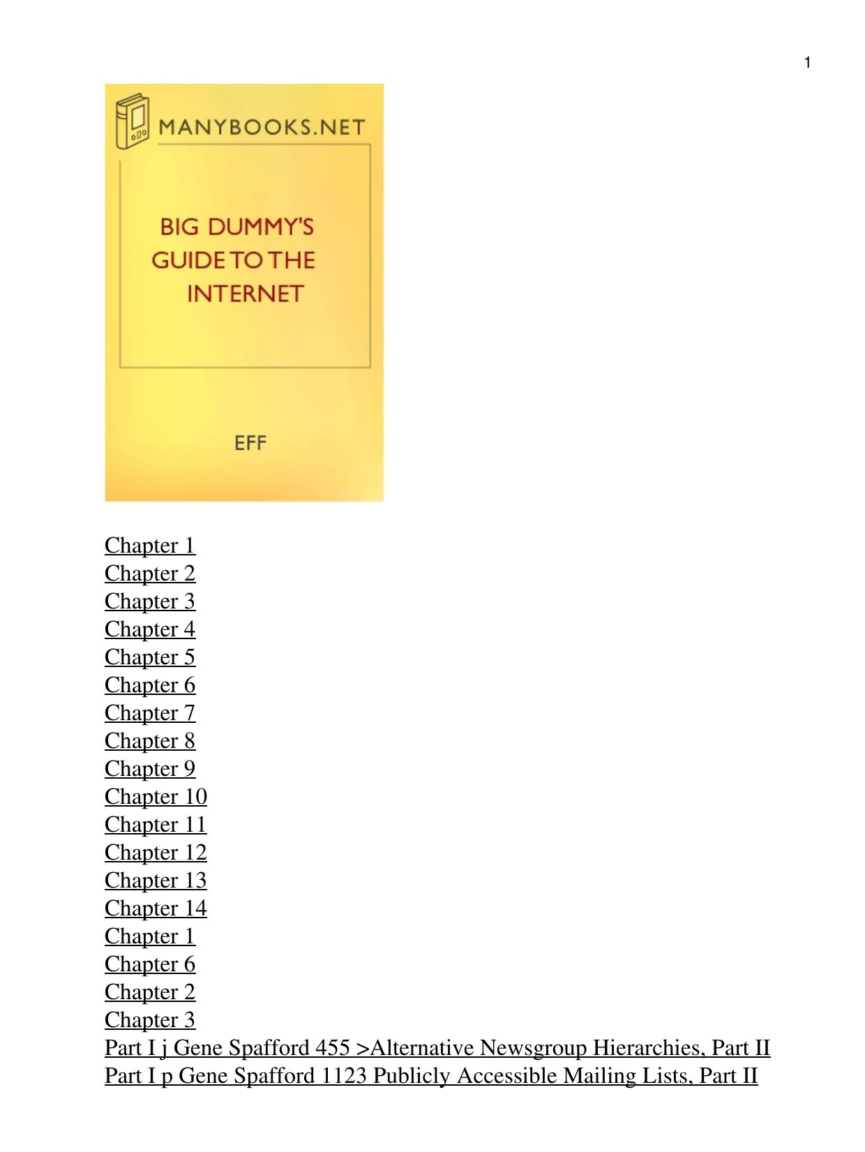 Big Dummy's Guide to the Internet
